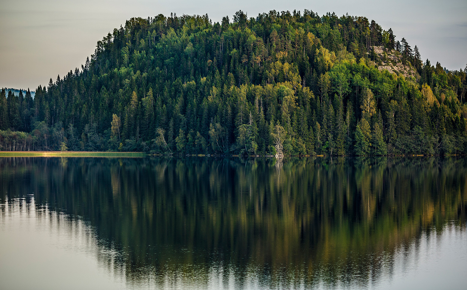 Abisko Endurance 2 Pole Kit